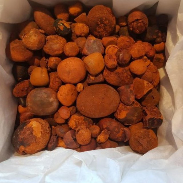 Ox,Cow,Cattle, Gallstones....+254799517375