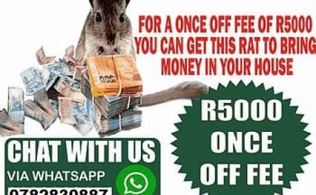Money Spell Magic Ring Wallet And Rats In Rustenburg, Klerksdorp And George City Call ☏ +27782830887 Money Spell In East London, Soshanguve Township And Cape Town South Africa